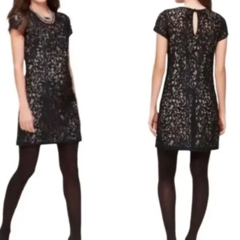 LOFT Lace Shift Dress Navy‎ Blue Cap Sleeve Key Hole Tie Back Lined Size 6